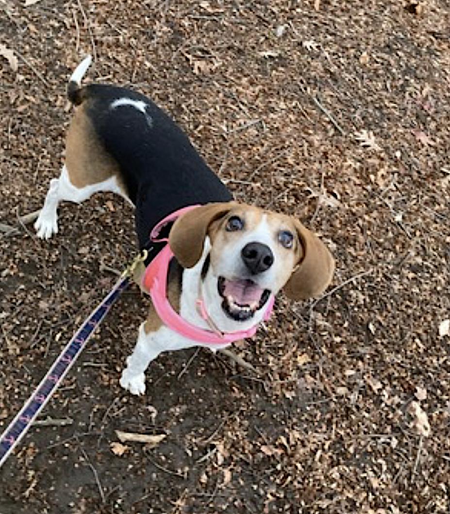 Geneva — thumbnail 2