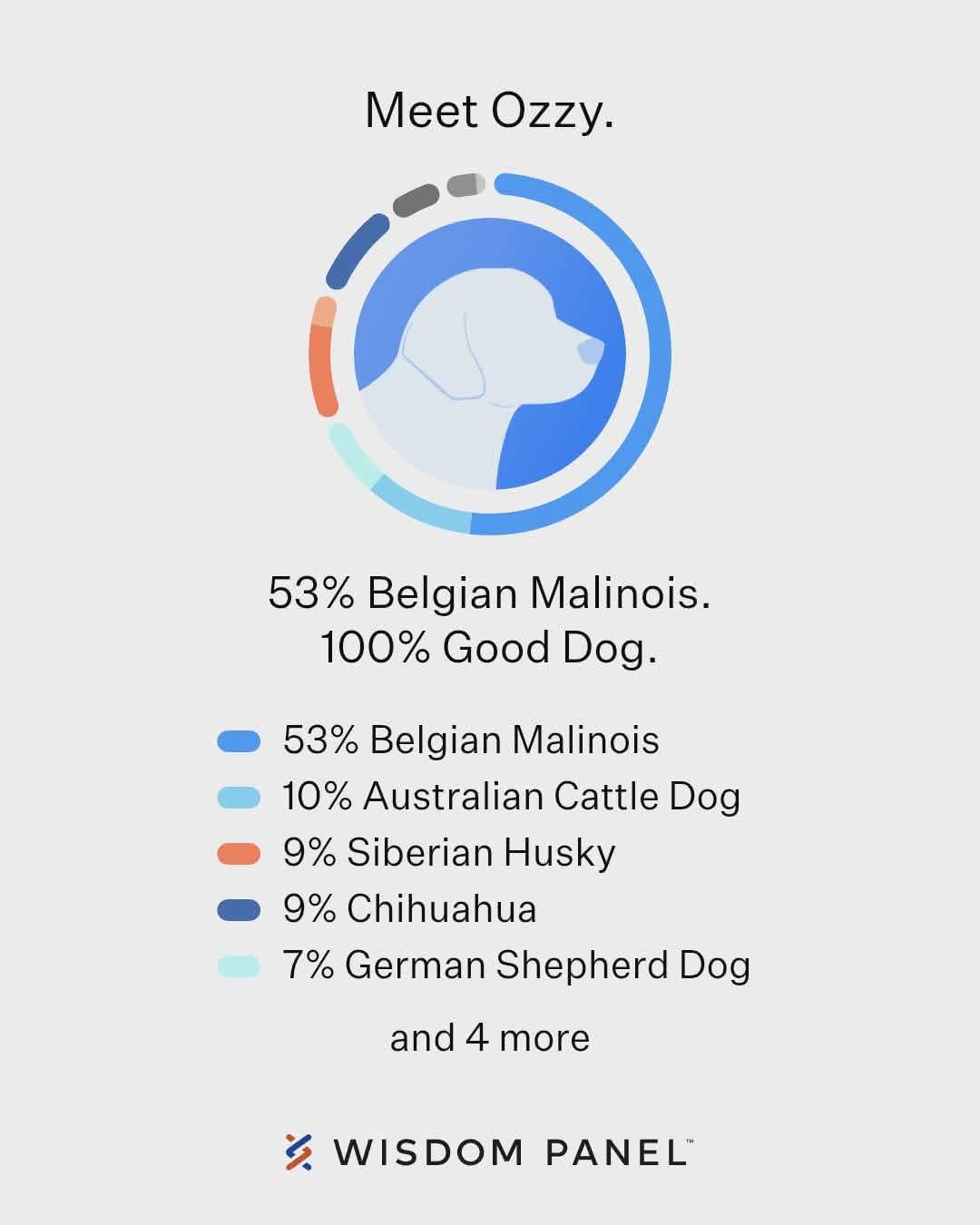 Enlarge Ozzy Pawsborne, an adopted mixed breed in East Haddam, CT image 2/2