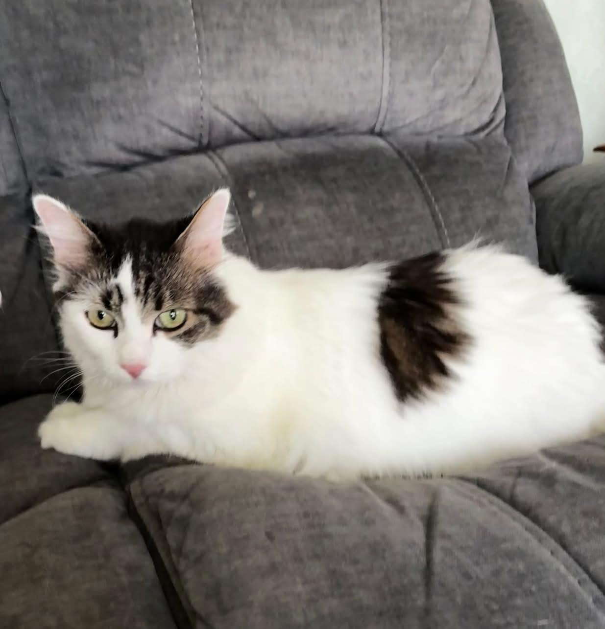 Chloe
