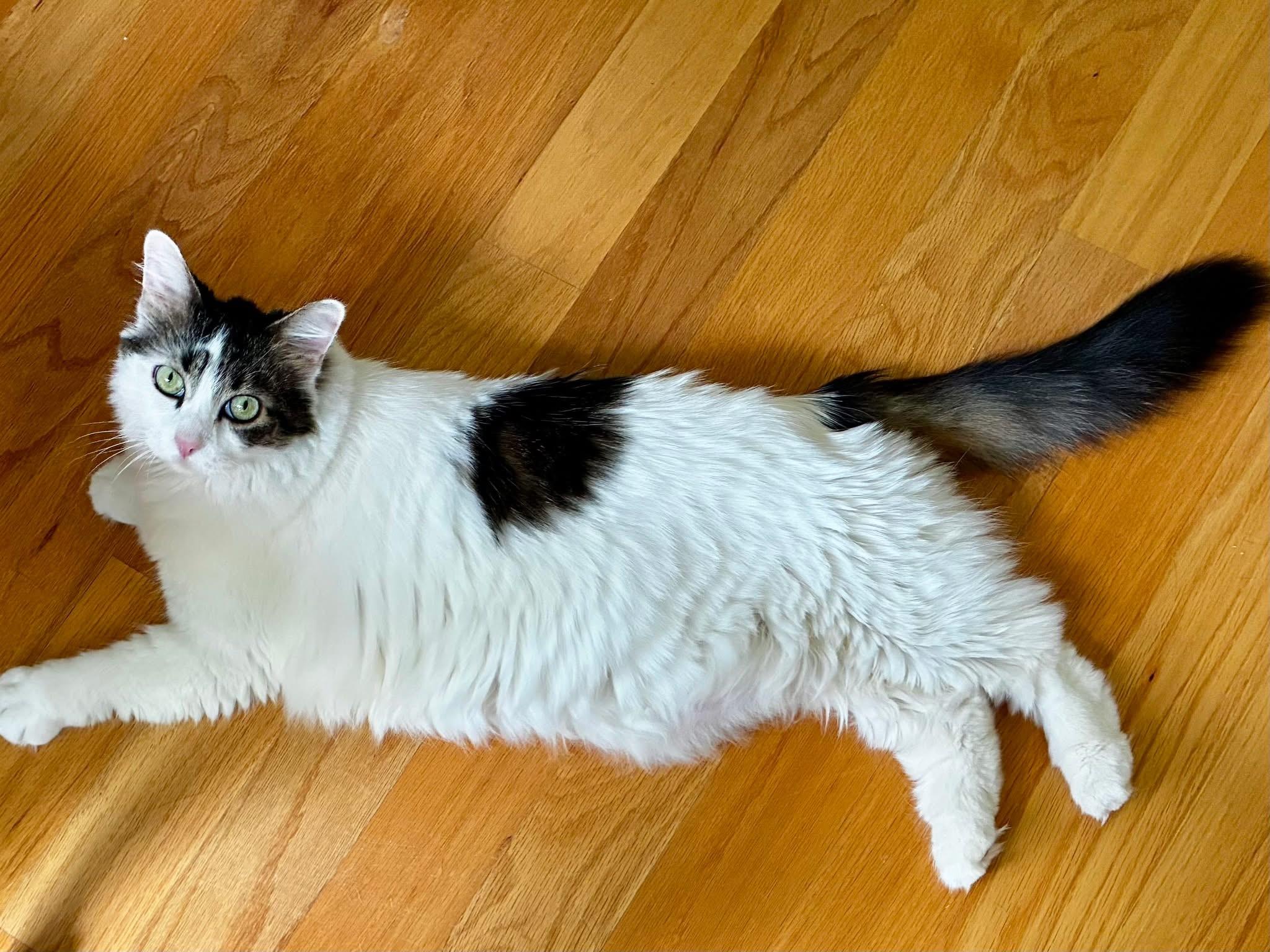 Chloe