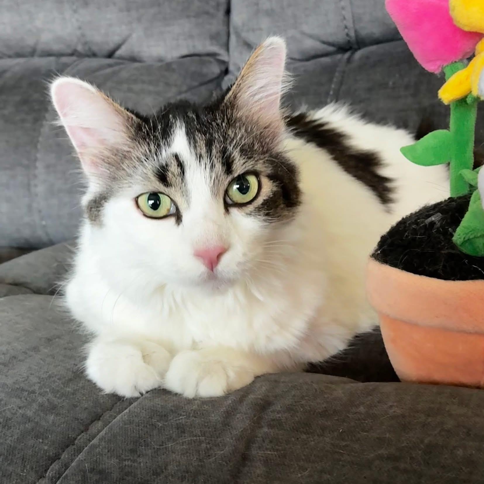 Chloe