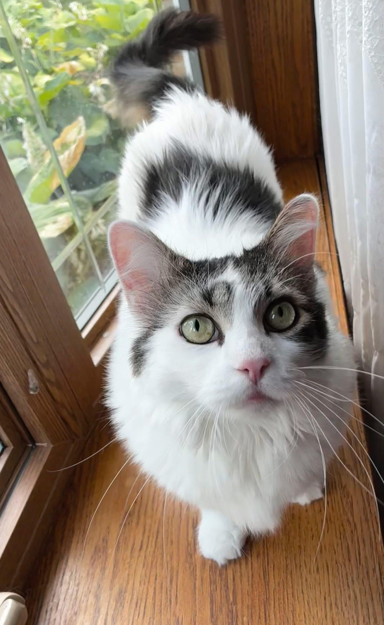 Chloe