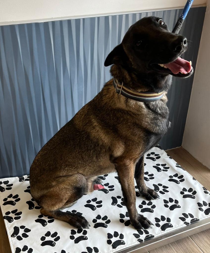 Kobe — thumbnail 2