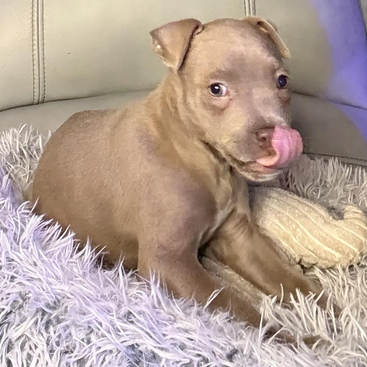 Flora — thumbnail 6