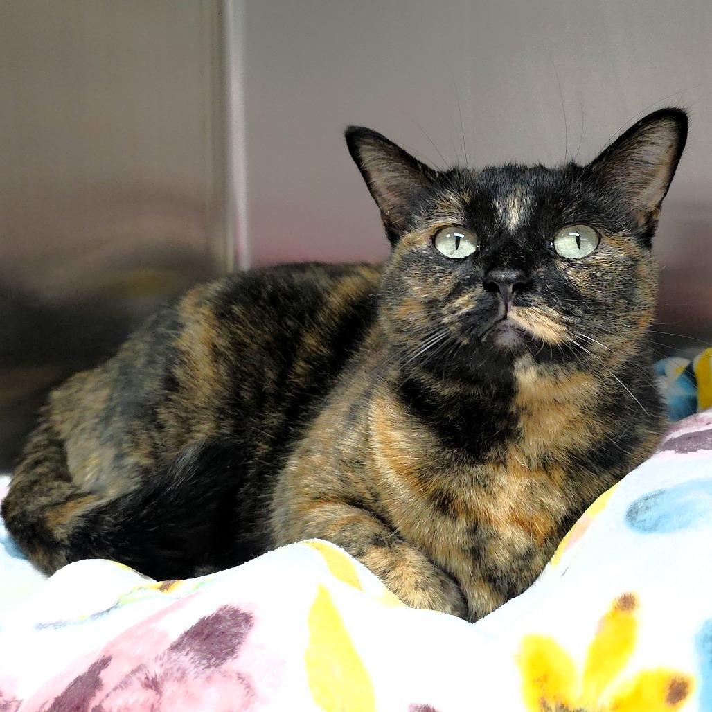 Wednesday — thumbnail 3