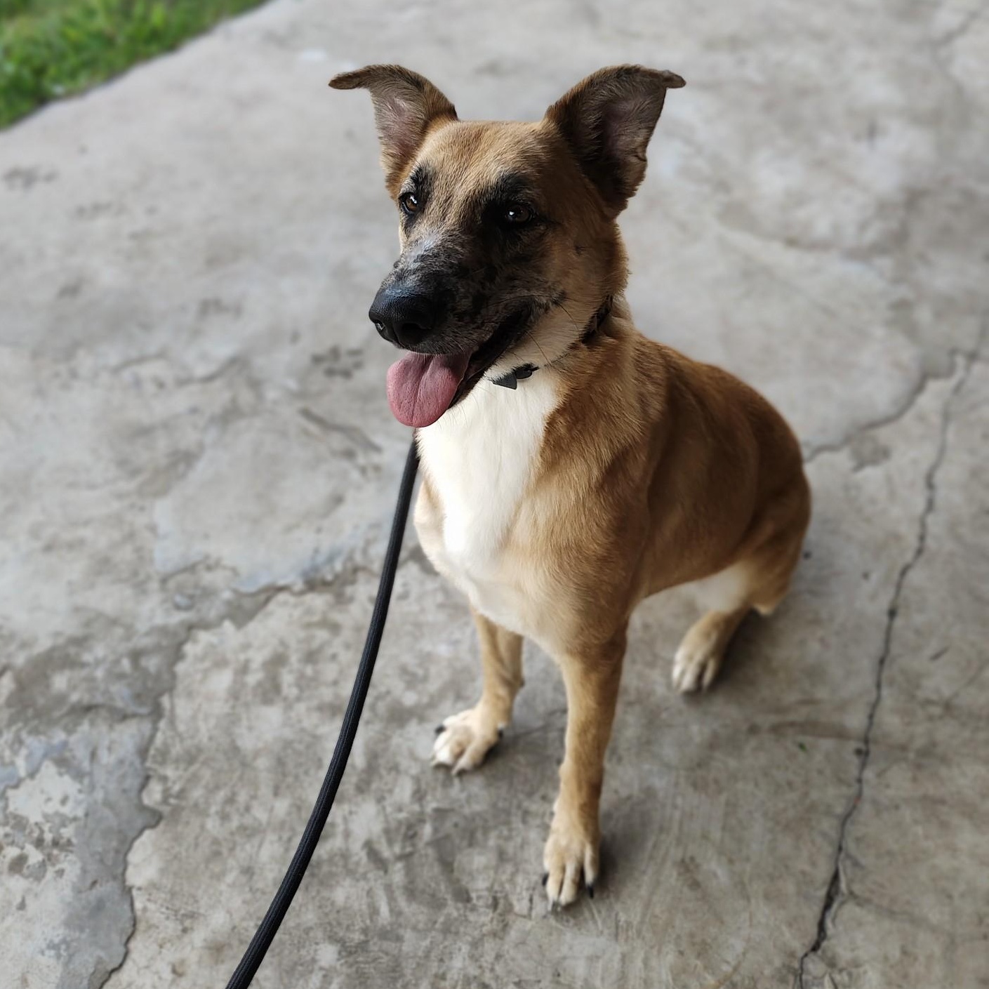 Tater — thumbnail 3