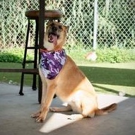 Tater — thumbnail 4