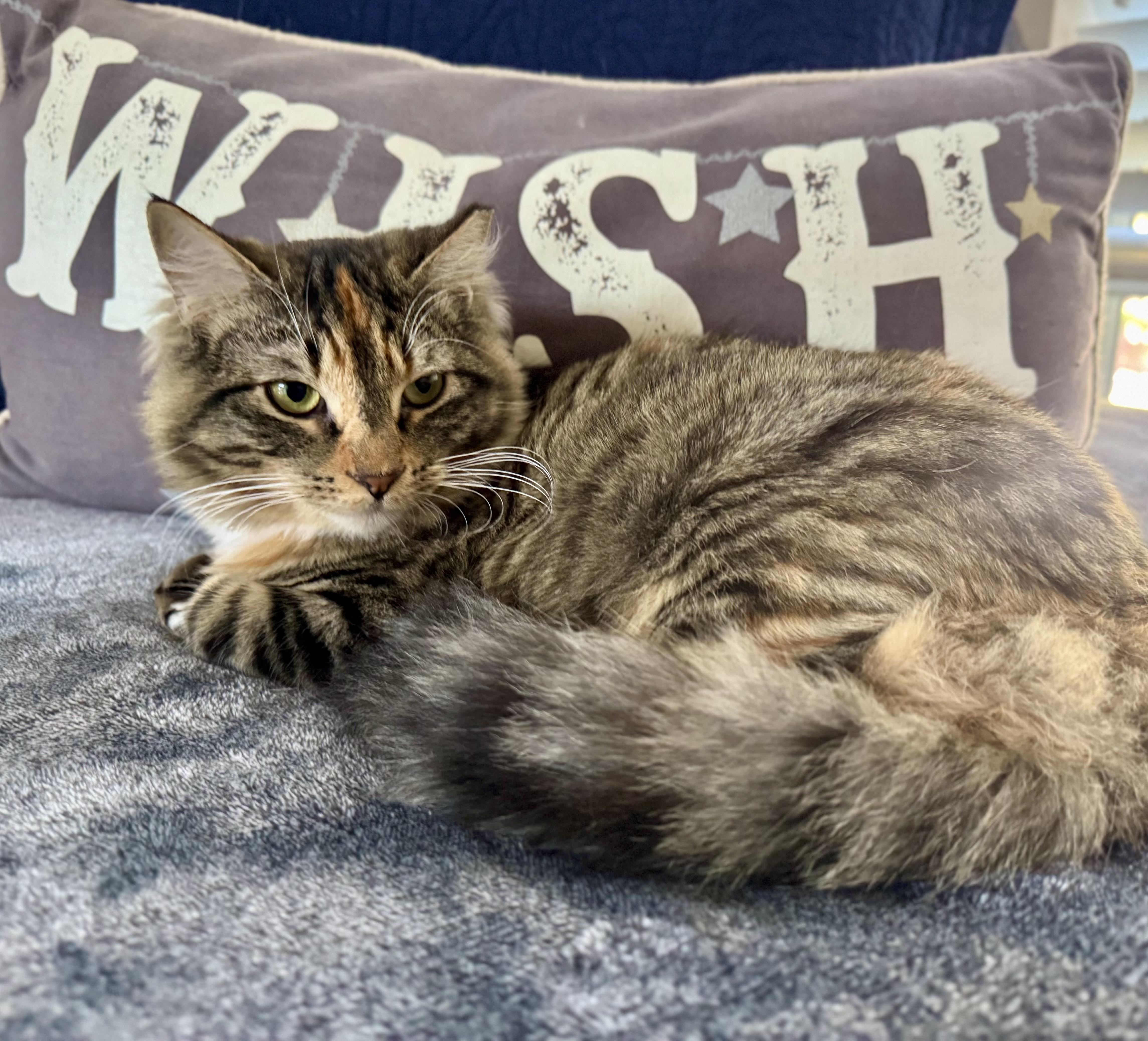 Savannah (calm / gentle / warm-hearted), Young Female unknown