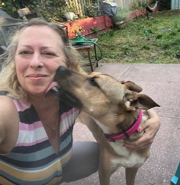 Enlarge Laika, a Adoptable mixed breed in Woodstock , VT image 4/6