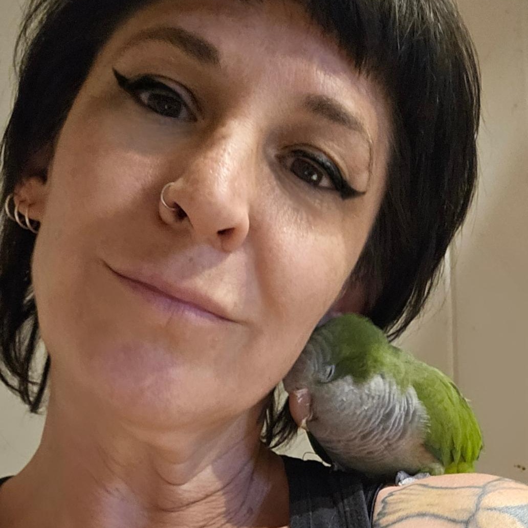 Enlarge Dottie, an adopted Parrot (Other) in Dallas, TX image 3/5