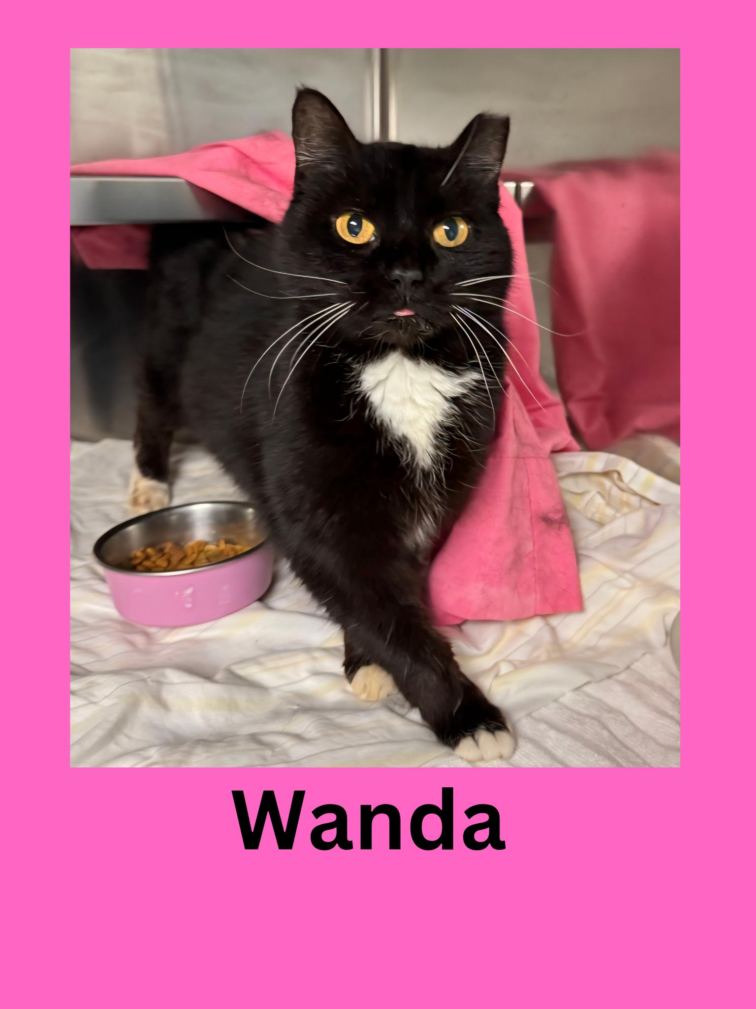 Wanda