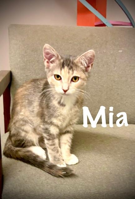 Mia