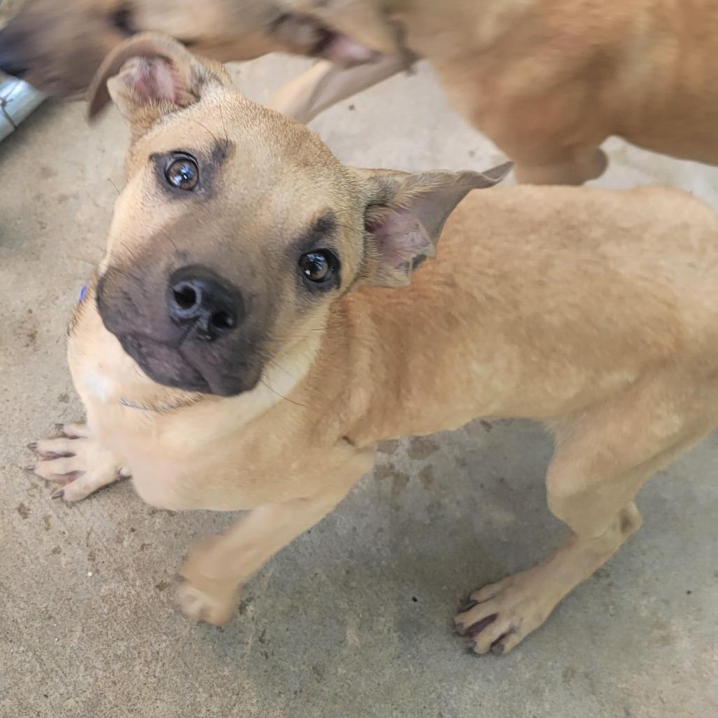 Charlie Bean thumbnail 2