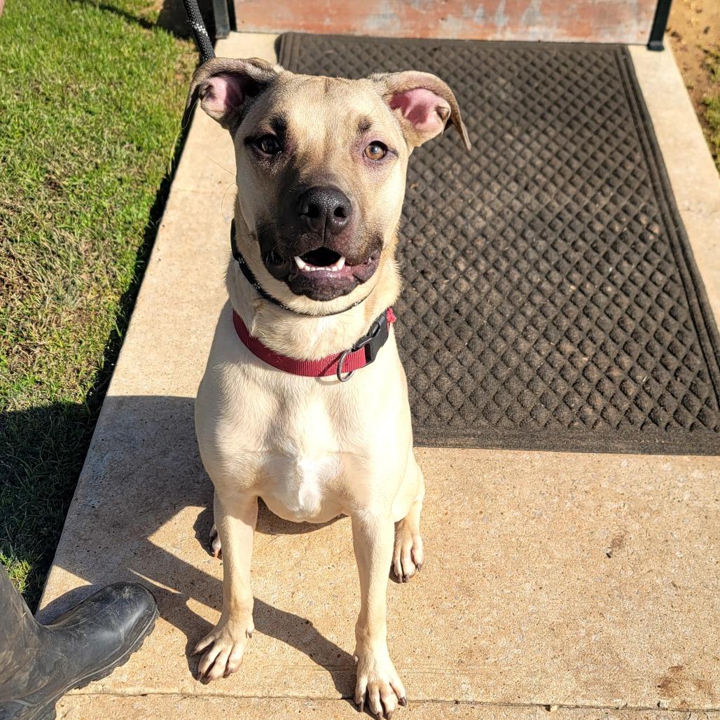 Charlie Bean thumbnail 6