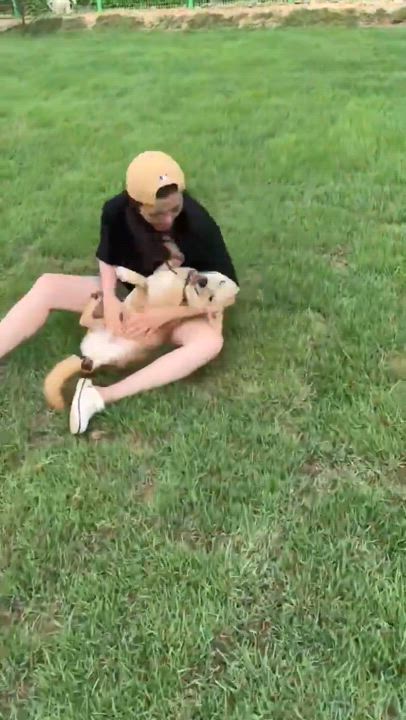 Enlarge Rowoon, a Adoptable mixed breed in San Francisco, CA video 5/5