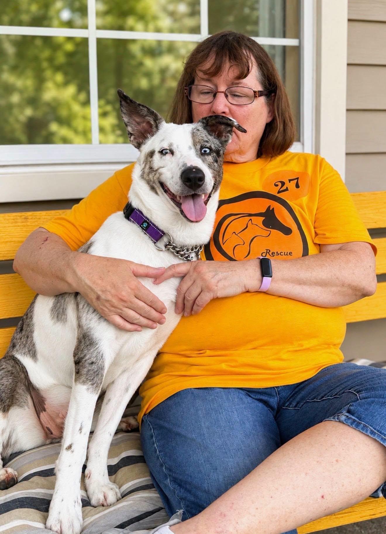 Mona Lisa, a ADOPTABLE mixed breed in Amelia, OH image 6/6