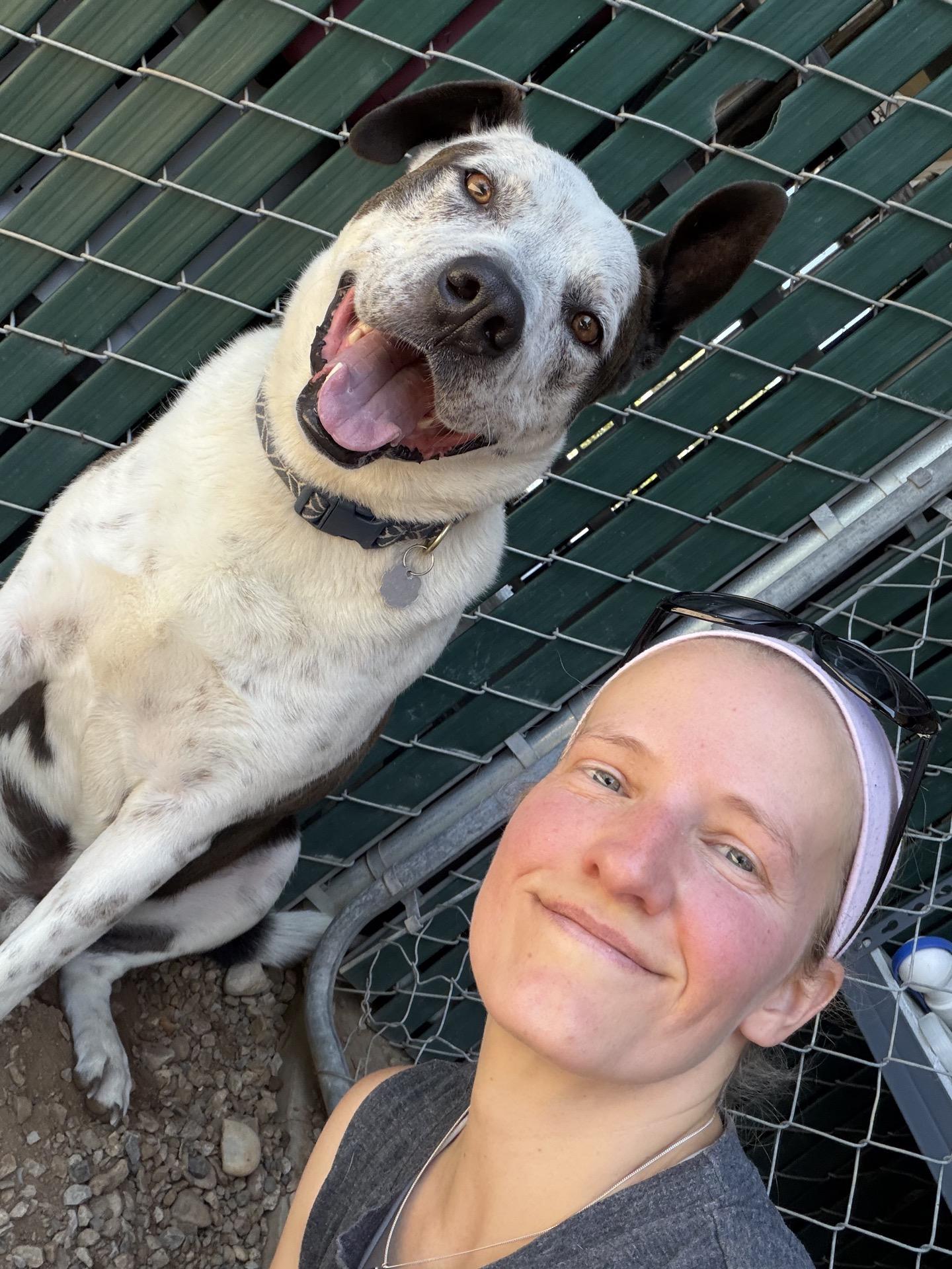 Enlarge Snickers 0224, an adoptable mixed breed in Sonora, CA image 5/6