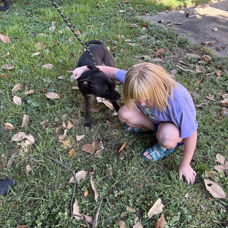 Enlarge Tillie PC, a Adoptable mixed breed in Goliad, TX image 6/6