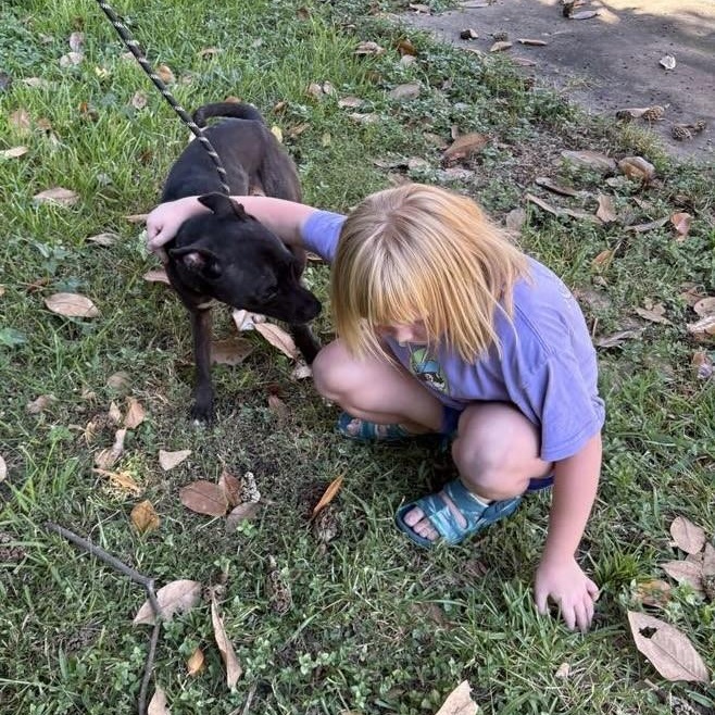 Enlarge Tillie PC, a Adoptable mixed breed in Goliad, TX image 5/6