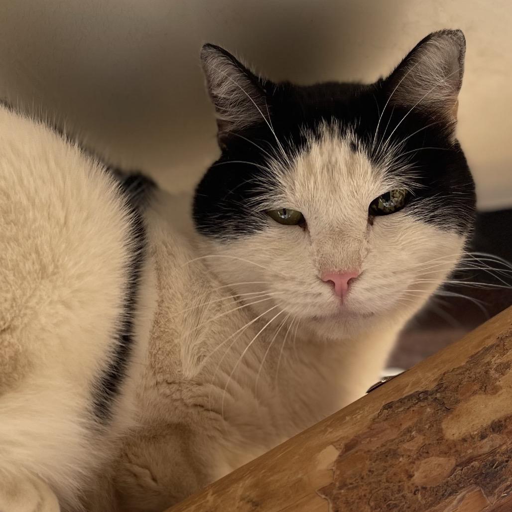 Bold — thumbnail 2