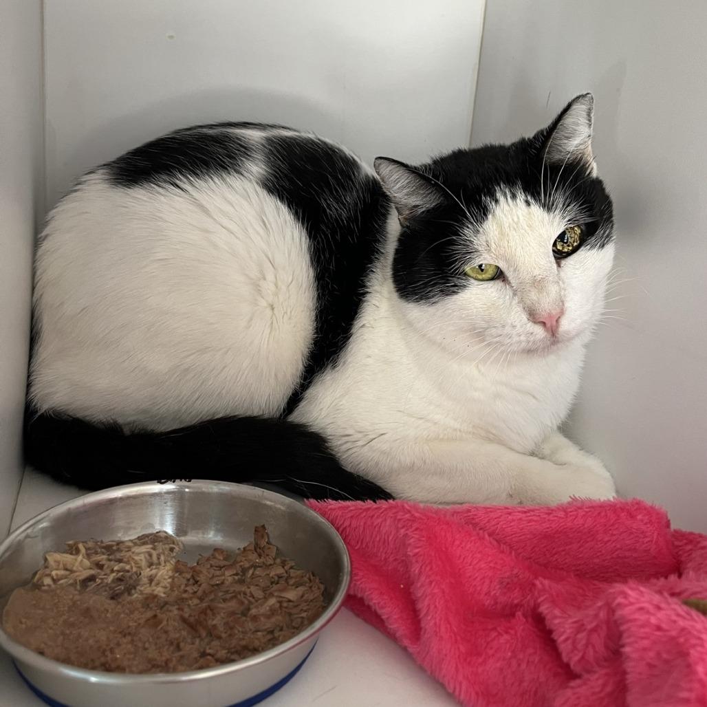 Bold — thumbnail 4