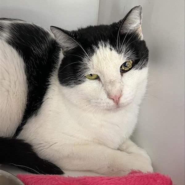 Bold — thumbnail 5