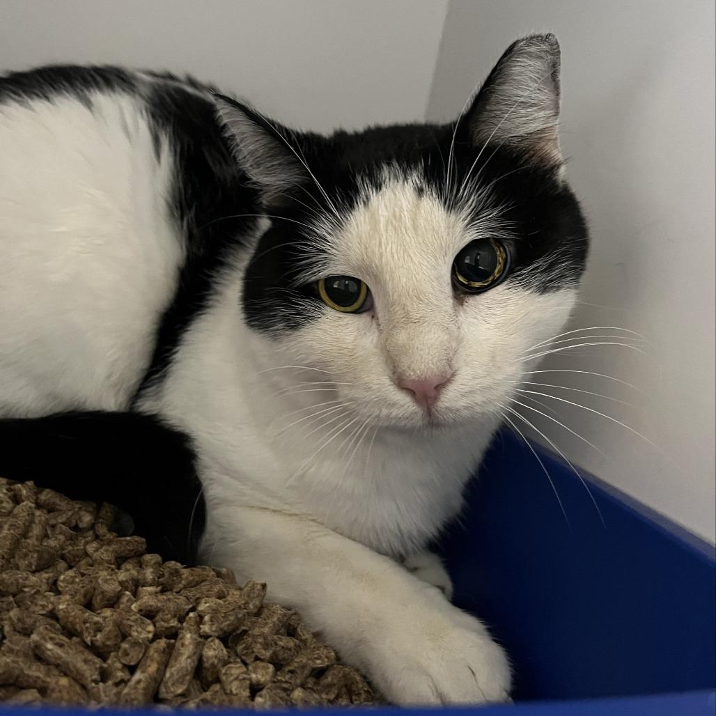 Bold — thumbnail 6