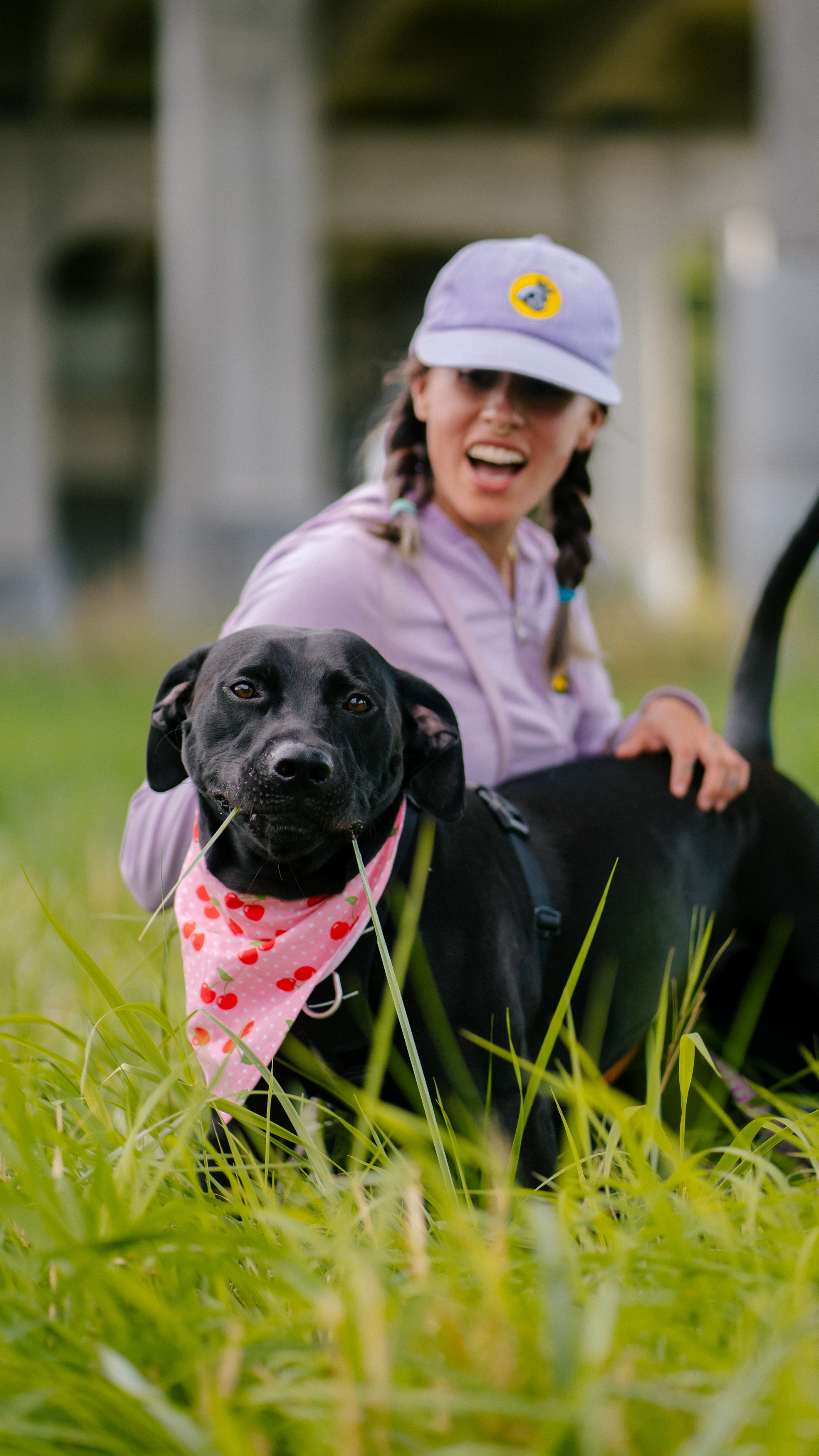 Enlarge Beth, a Adoptable mixed breed in New Westminster, BC image 10/13