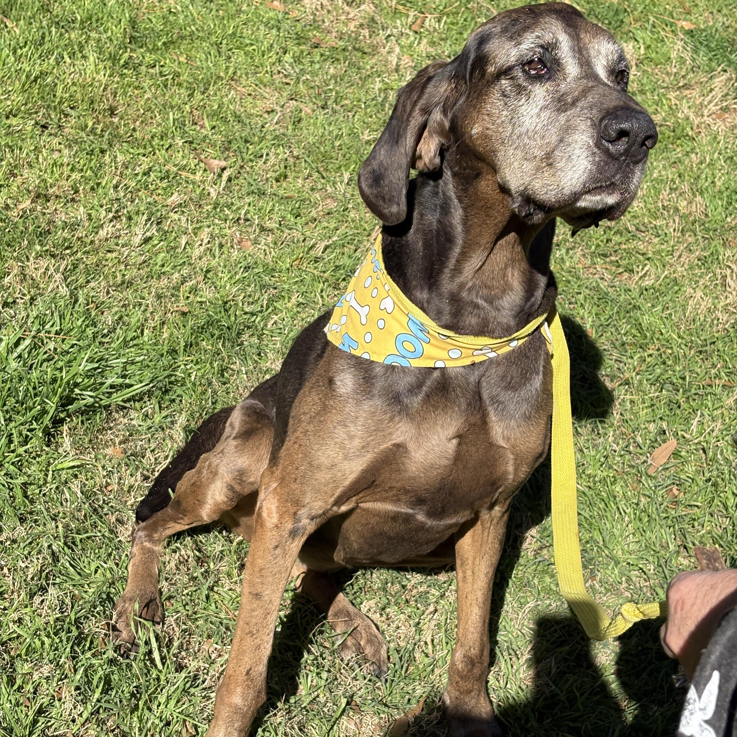 MAGGIE- LOVES people