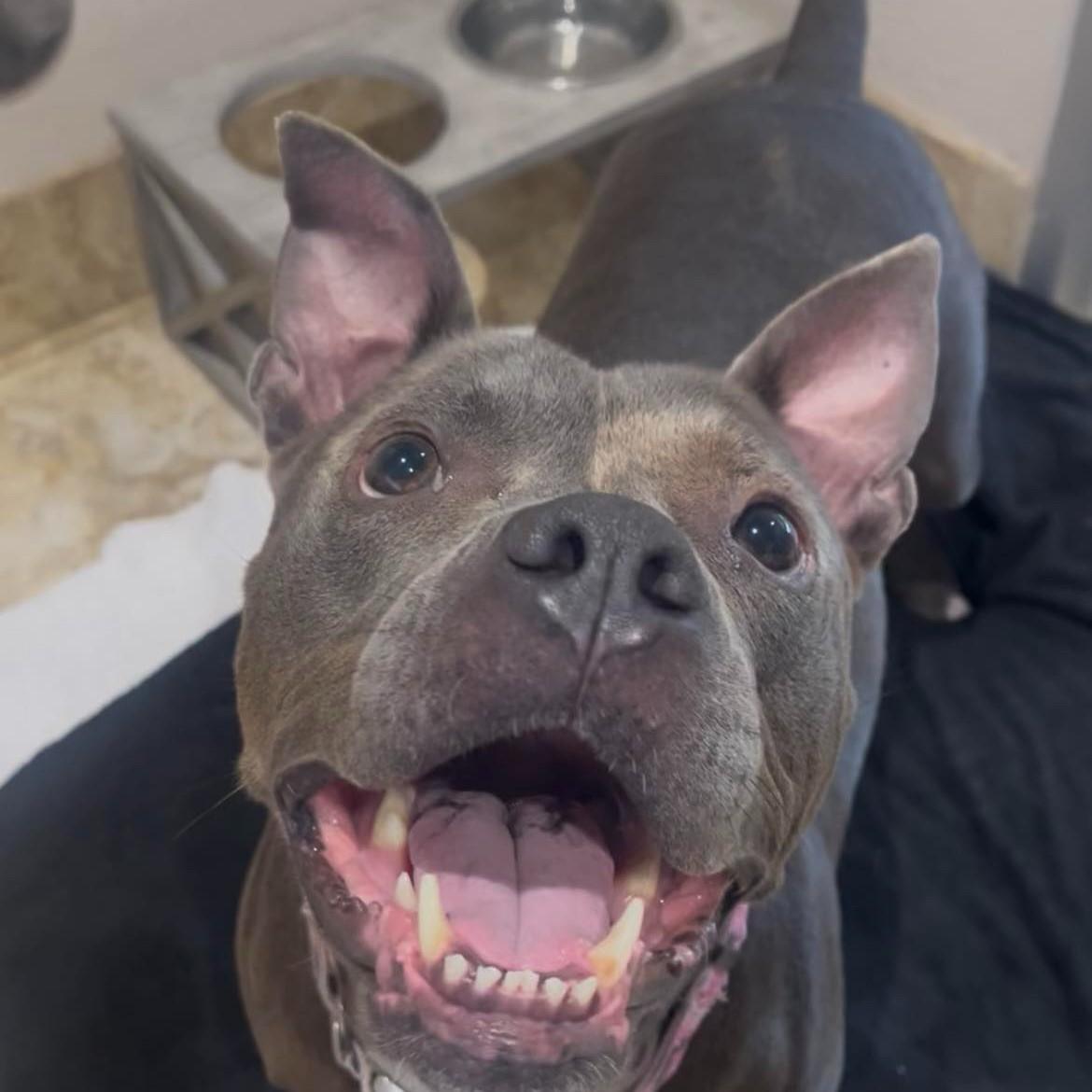 Bubbly Brenda