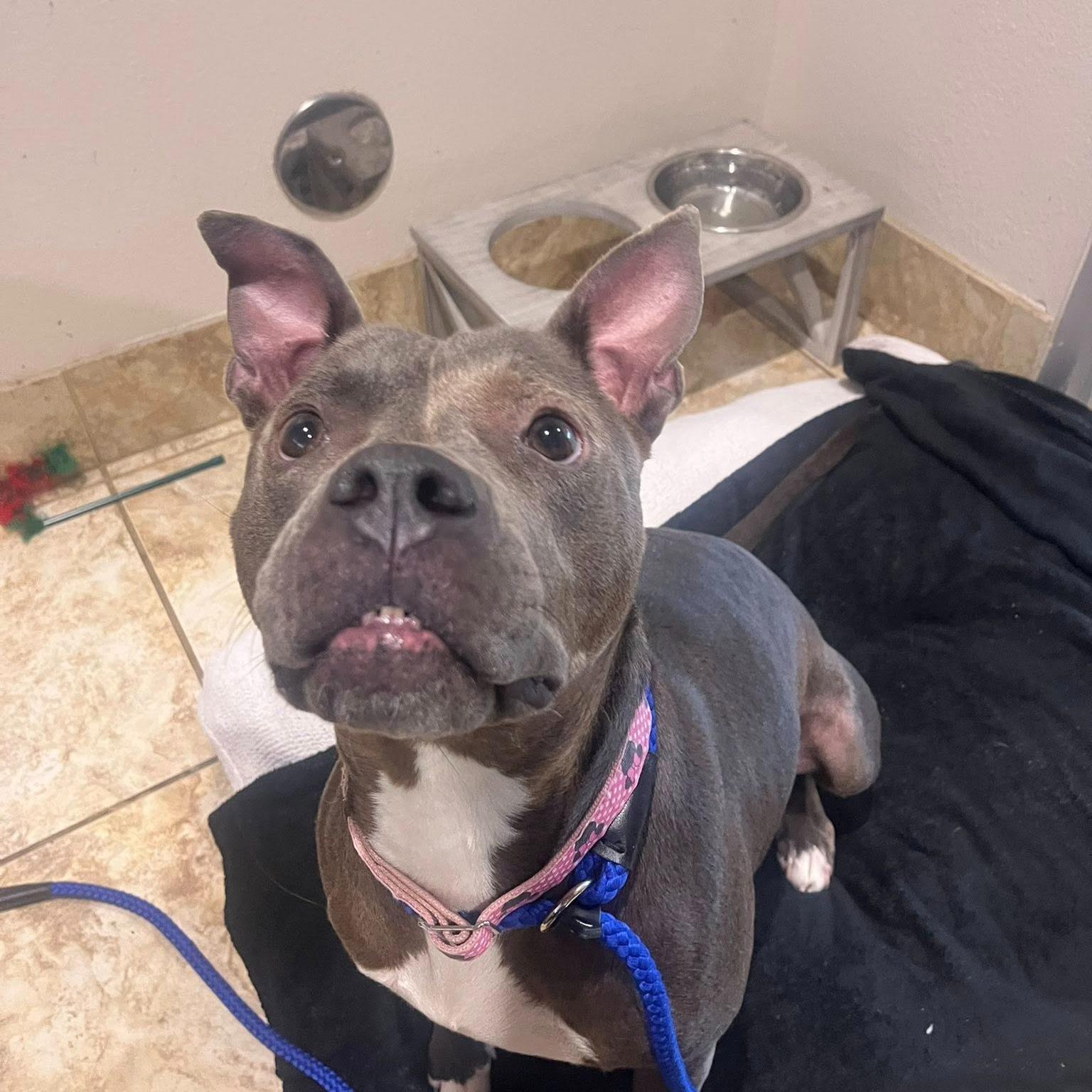 Bubbly Brenda