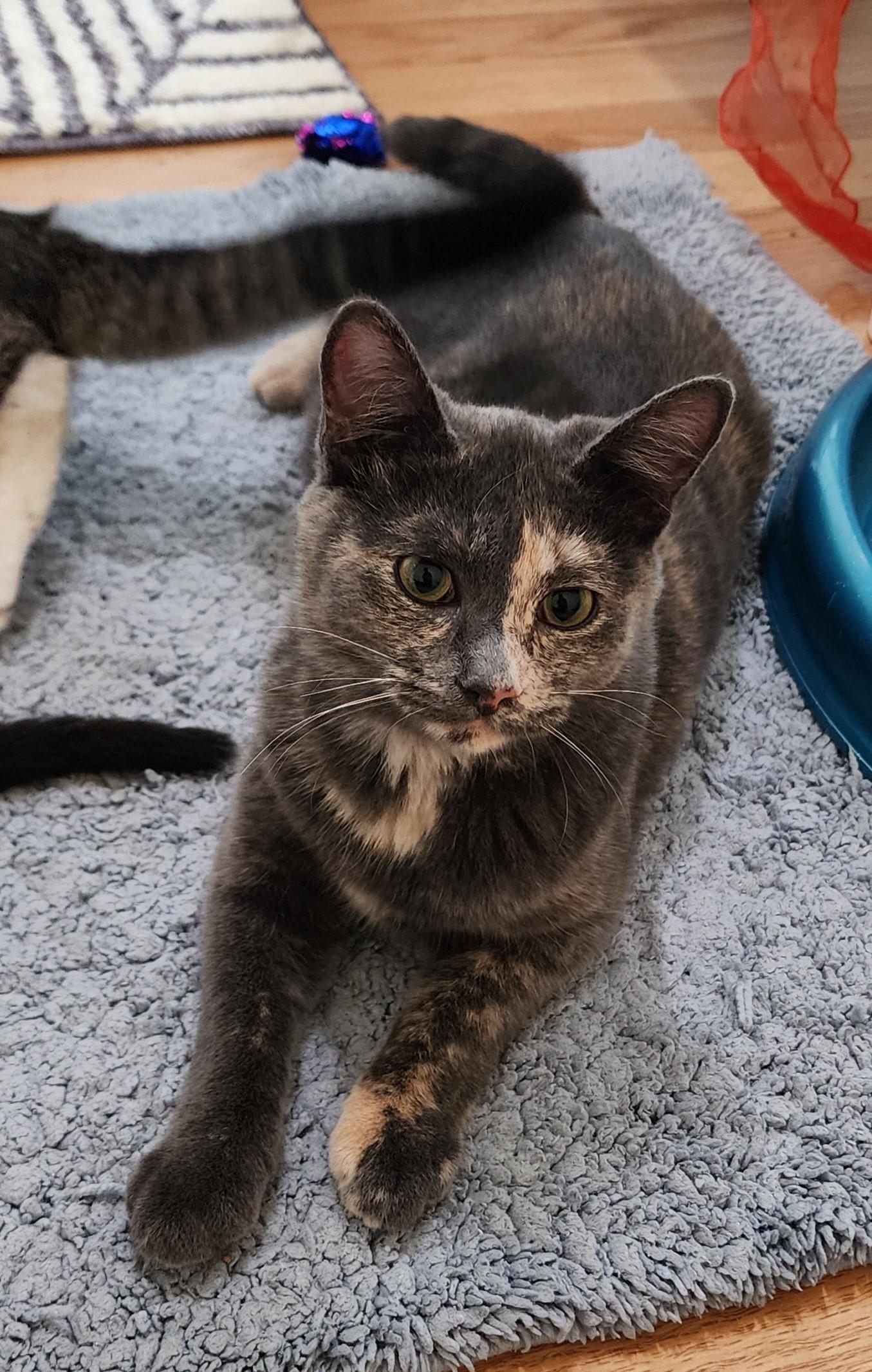 Riley - Sweet, Mild Little Wobbly