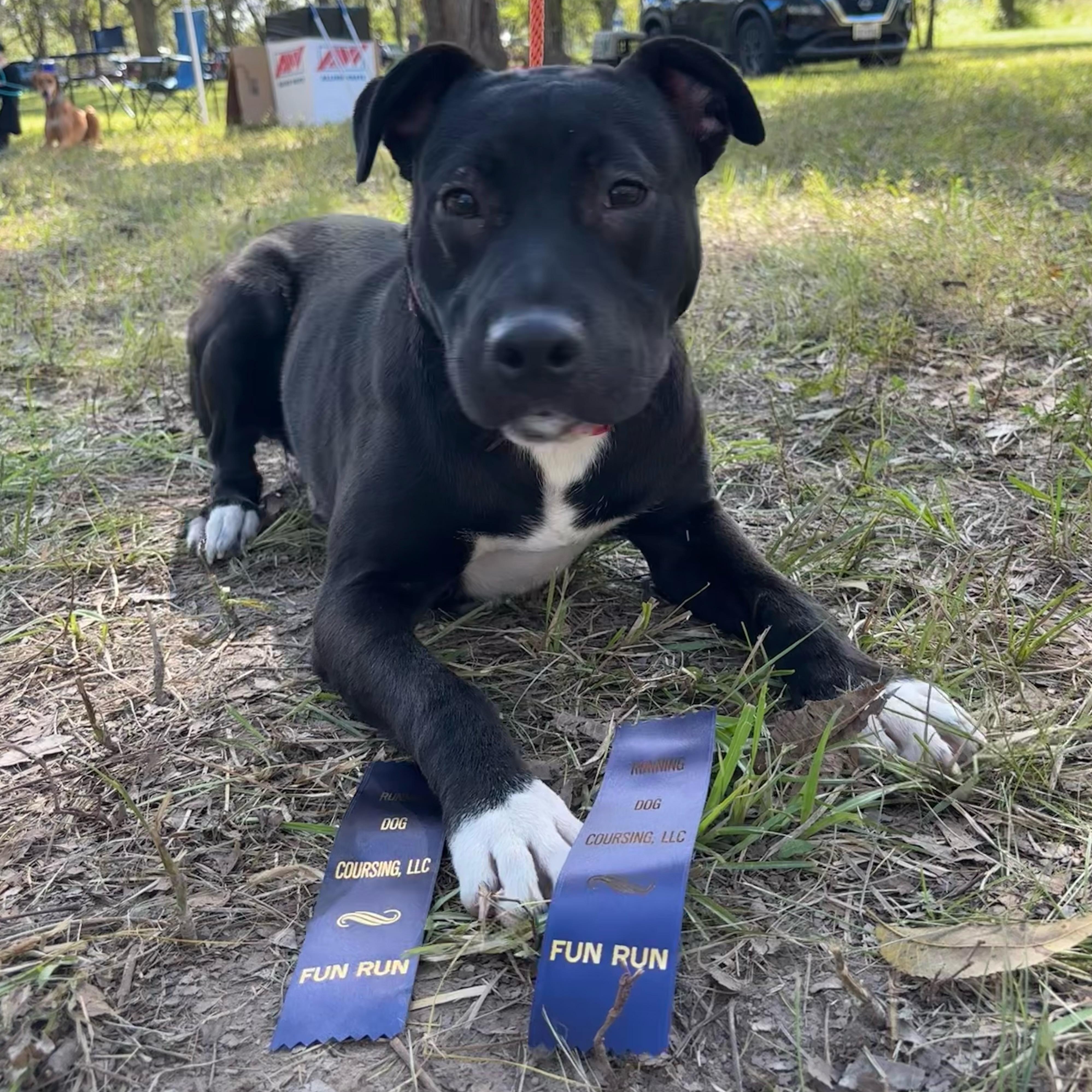 Arby — thumbnail 2