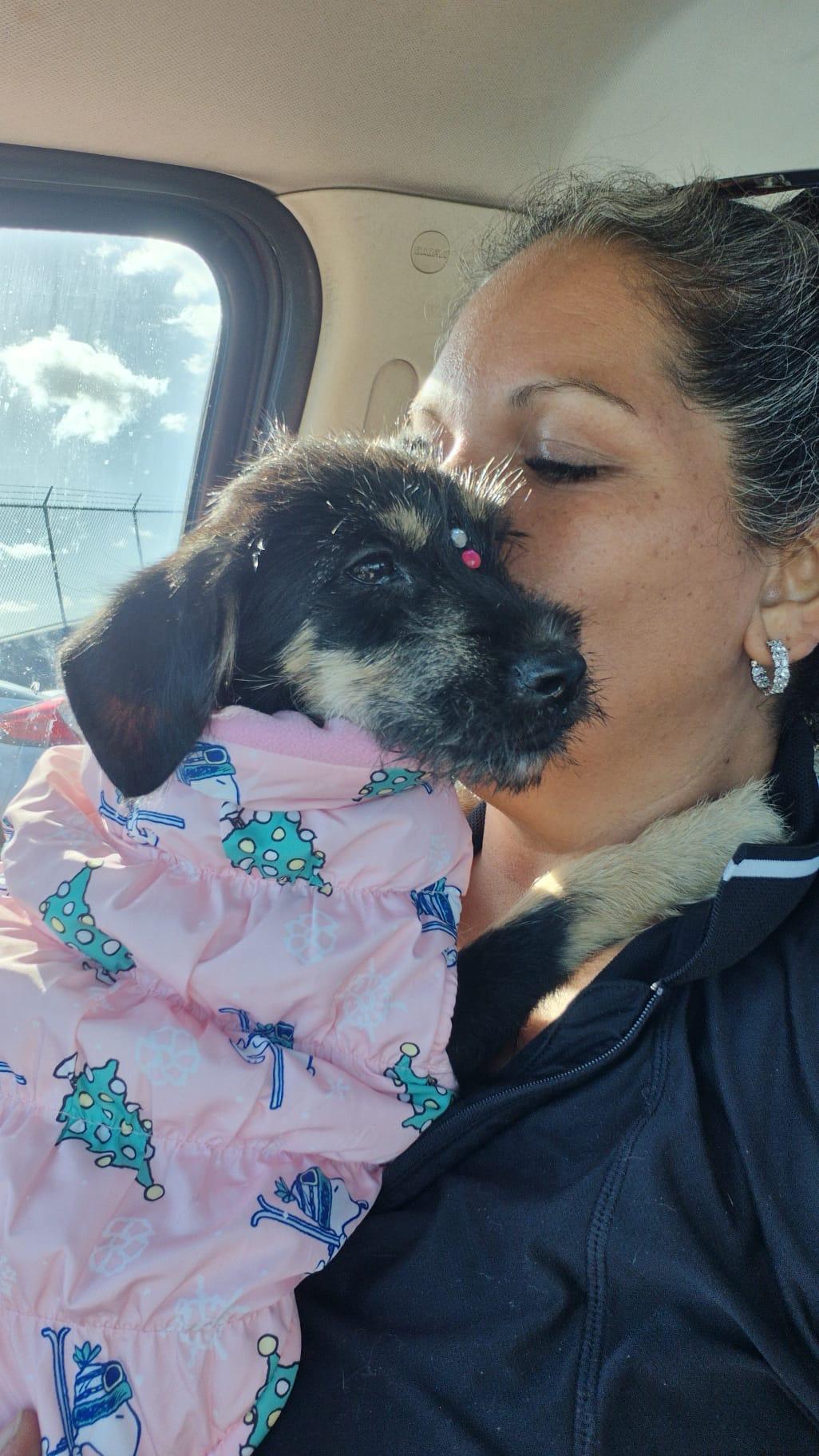 Leia  Litter Featured thumbnail 3