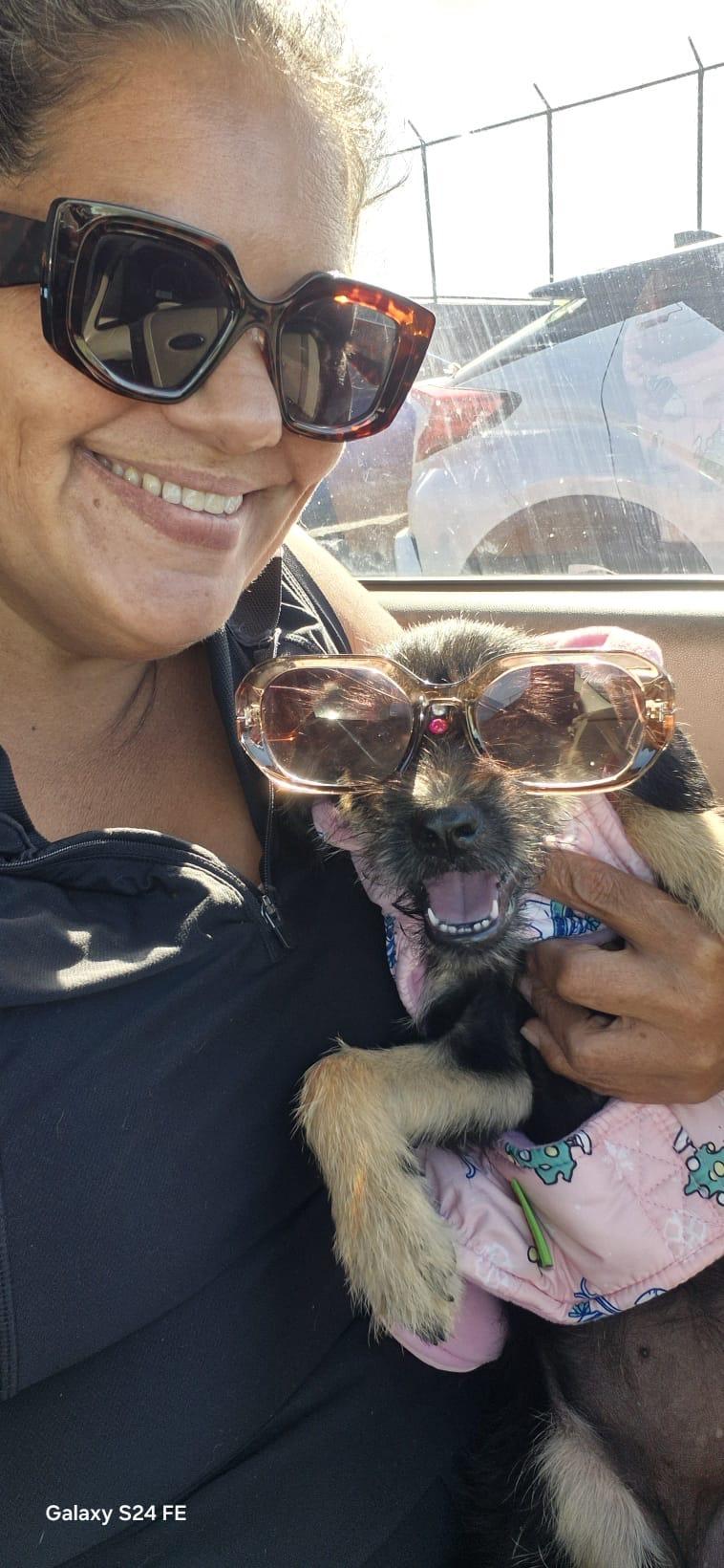 Leia  Litter Featured thumbnail 6