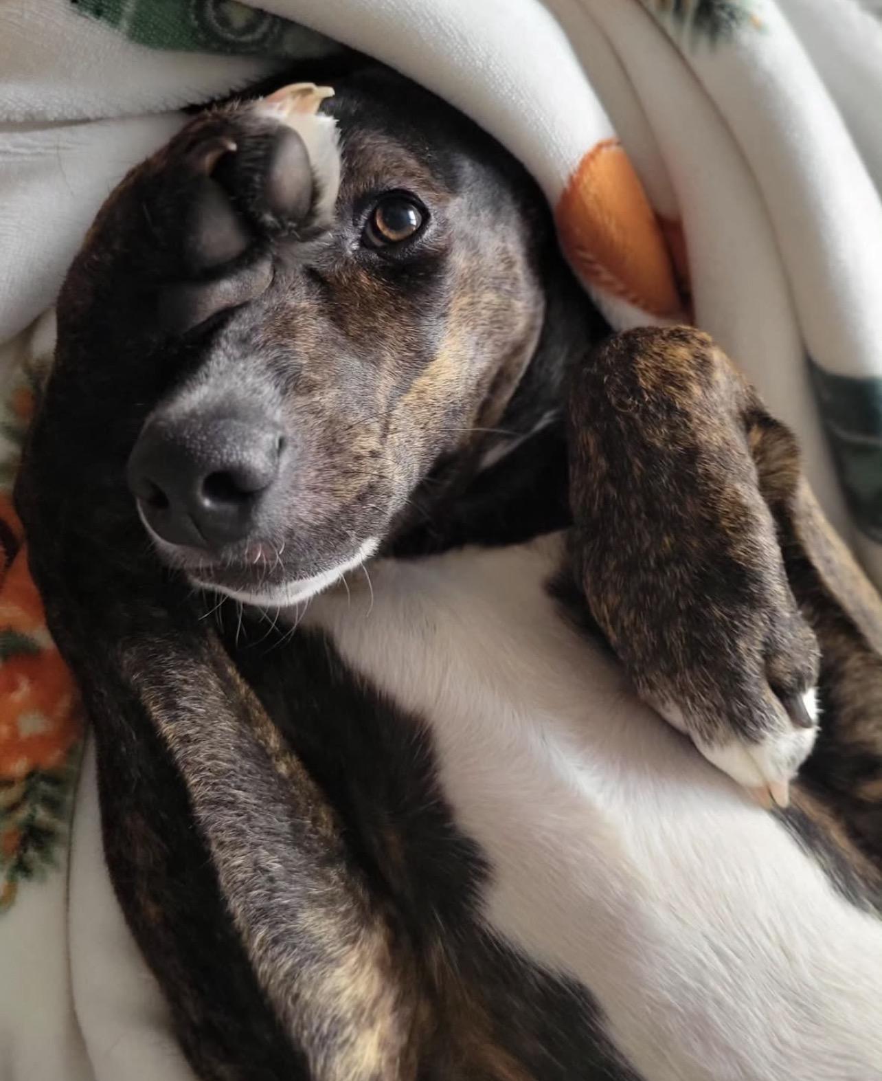 Scarlet Witch thumbnail 3