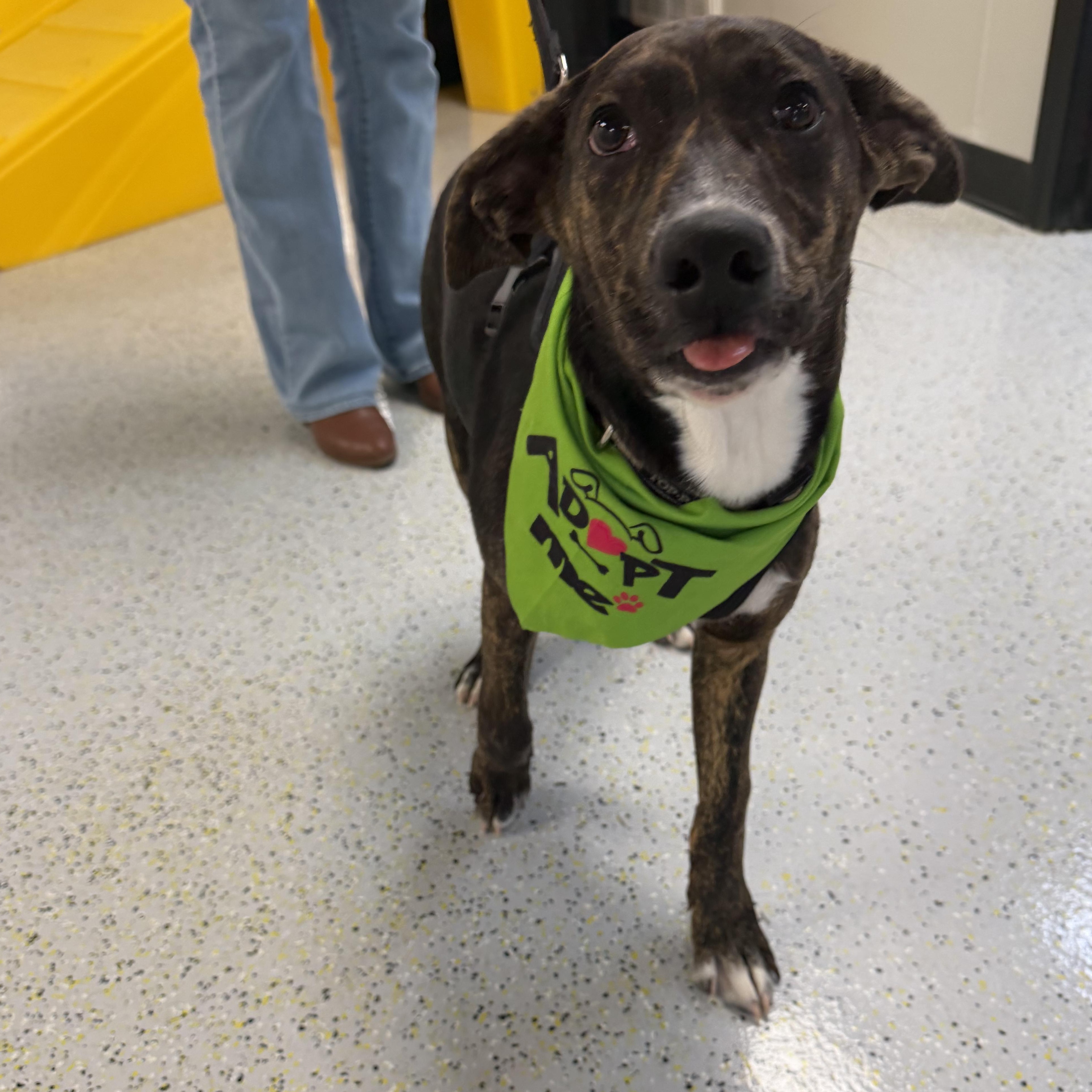 Scarlet Witch thumbnail 5