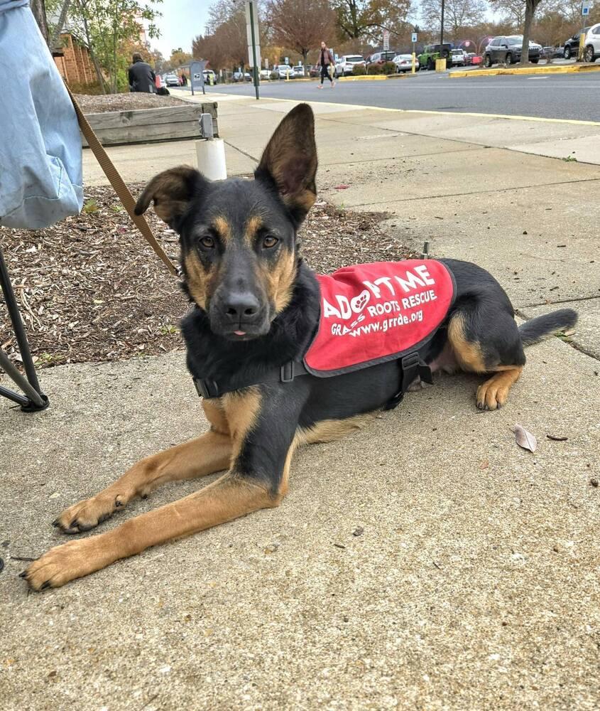 Chris Stapleton thumbnail 2