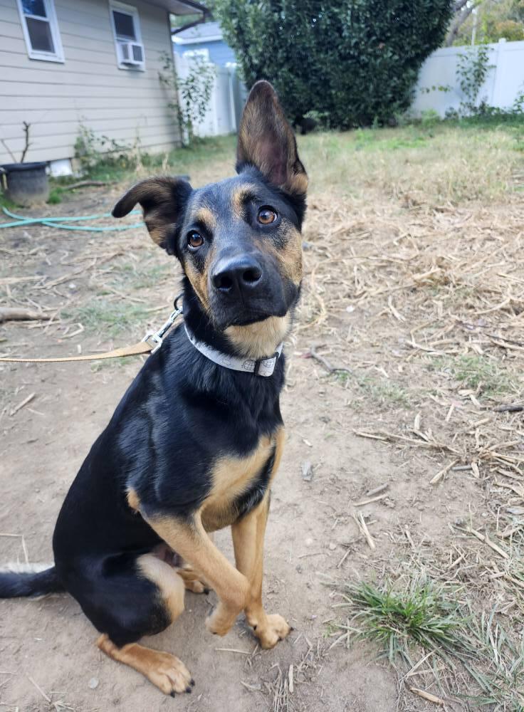 Chris Stapleton thumbnail 4