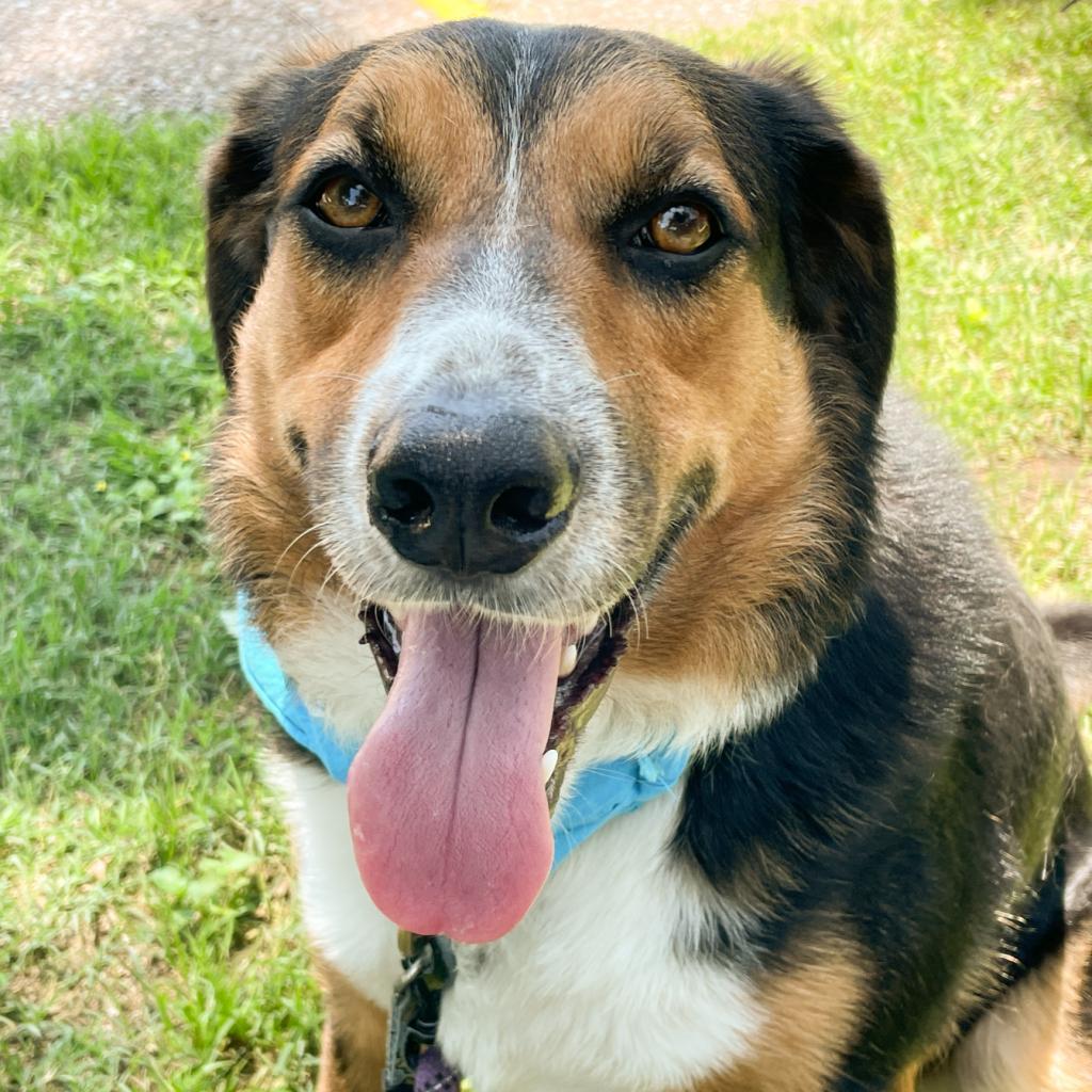 Schroeder thumbnail 2