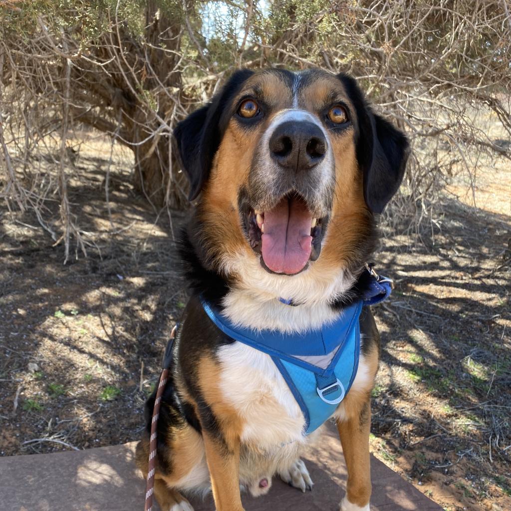 Schroeder thumbnail 3