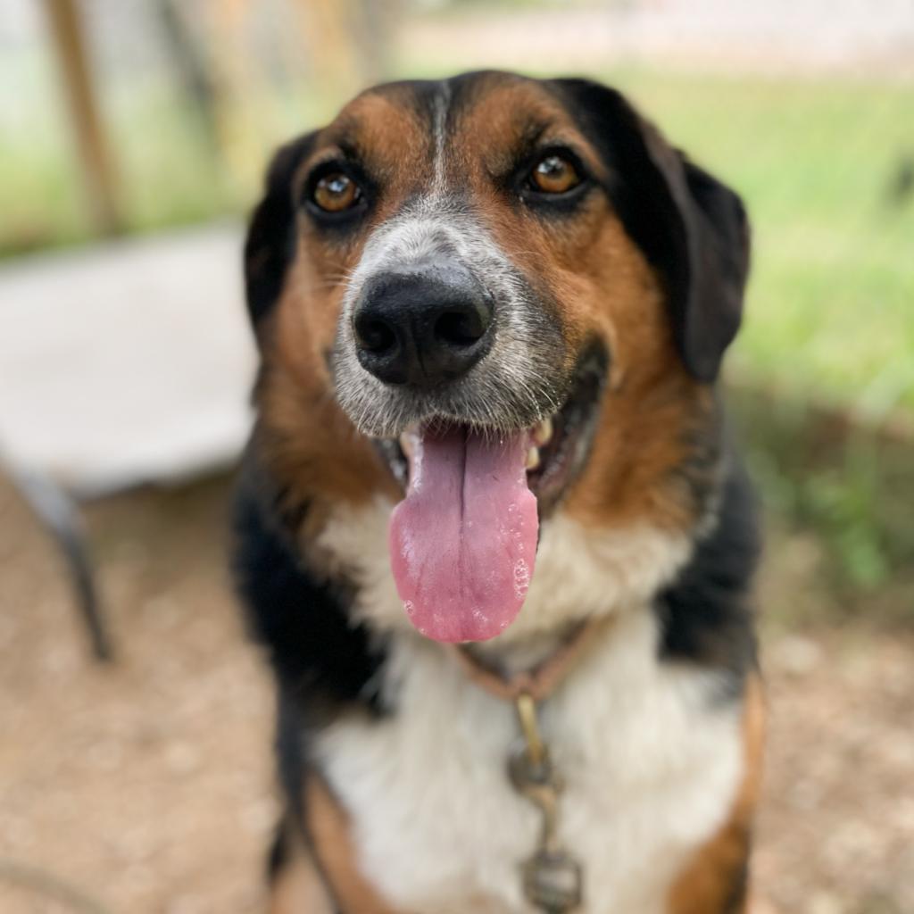 Schroeder thumbnail 4