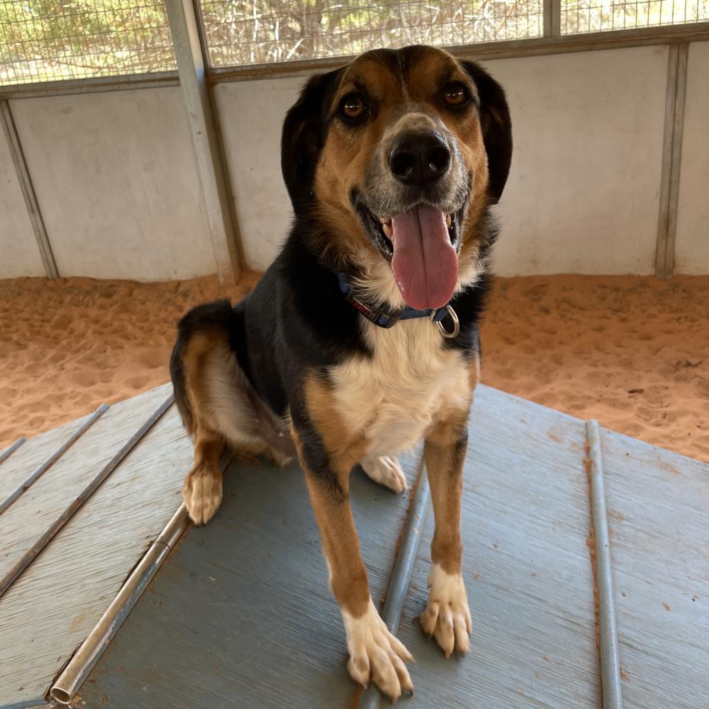 Schroeder thumbnail 5