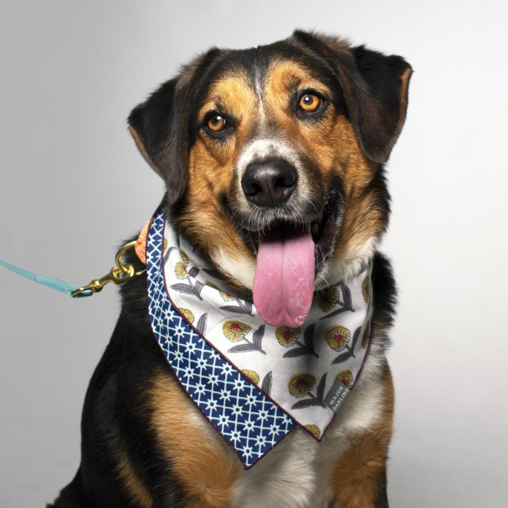 Schroeder thumbnail 6