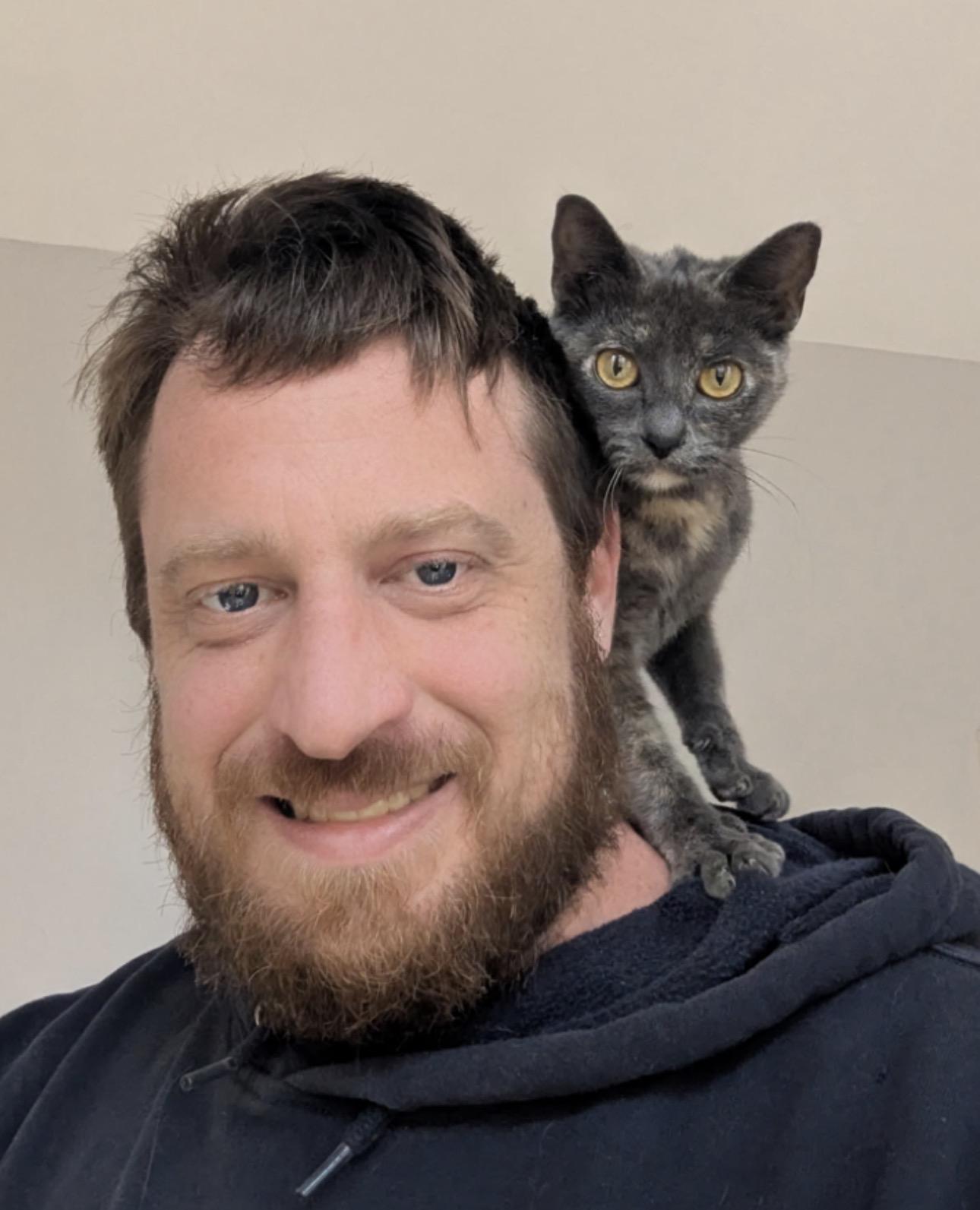 Enlarge April, a ADOPTABLE mixed breed in Houston, TX image 3/5