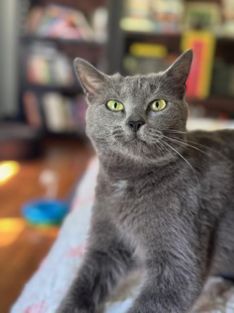 Chili