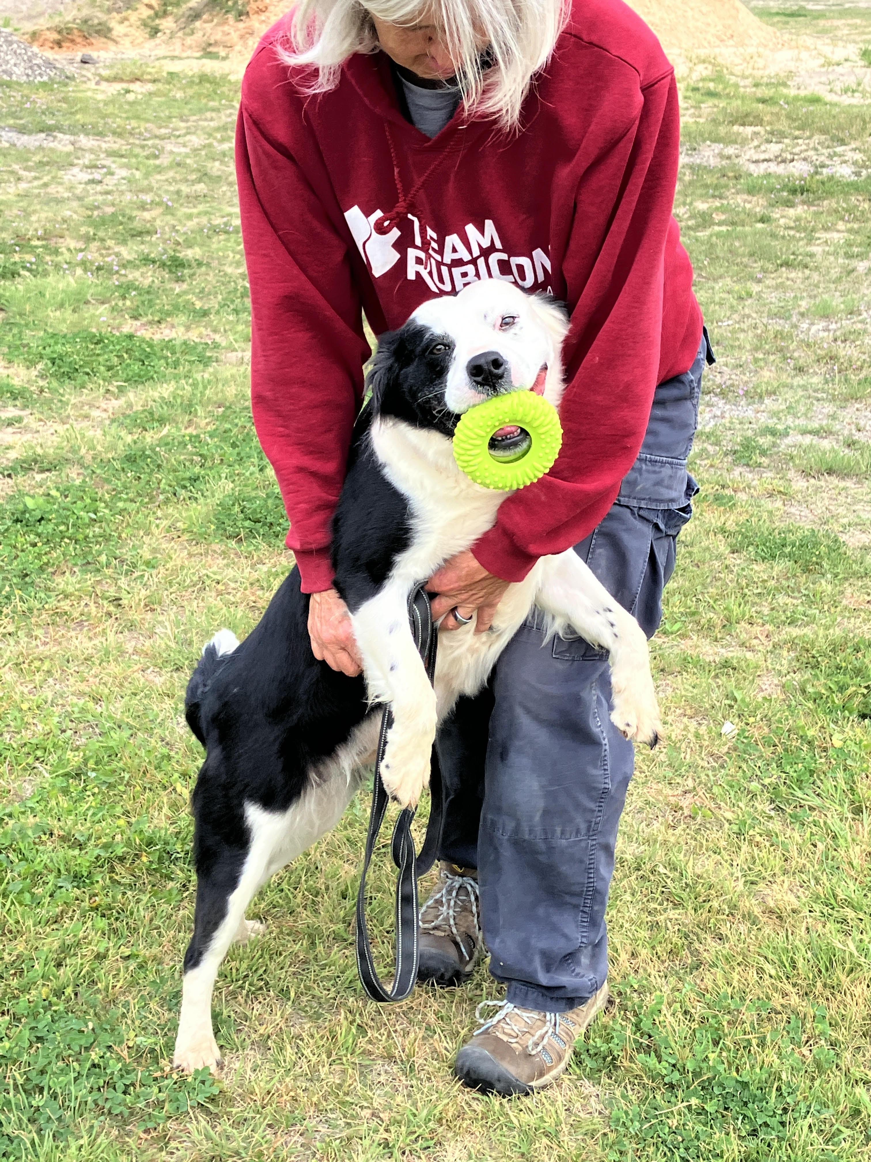 Enlarge BLANCHE - Crawling with Cuteness, a Adoptable mixed breed in Comanche, TX image 4/6