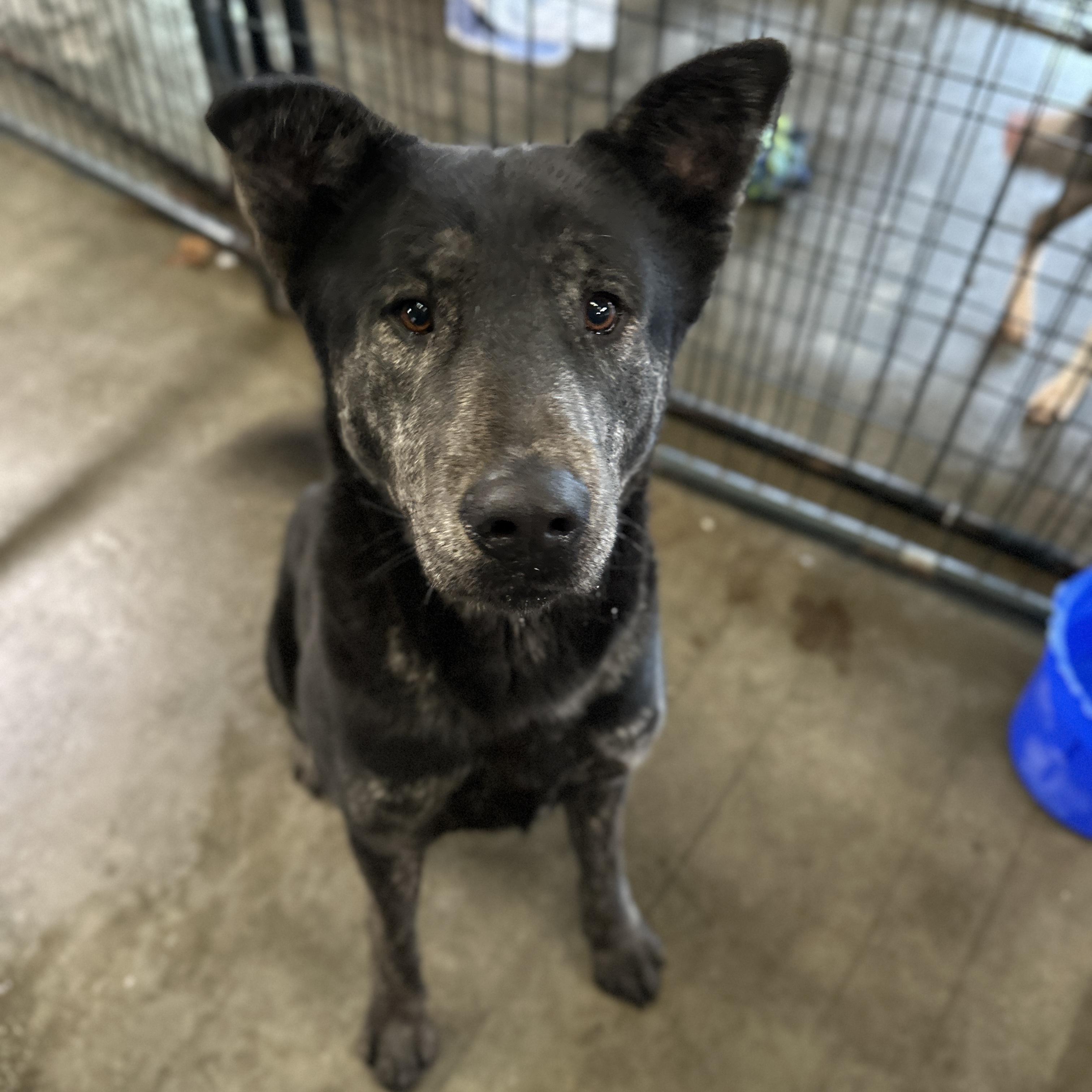 Jeremy Allen White — thumbnail 2