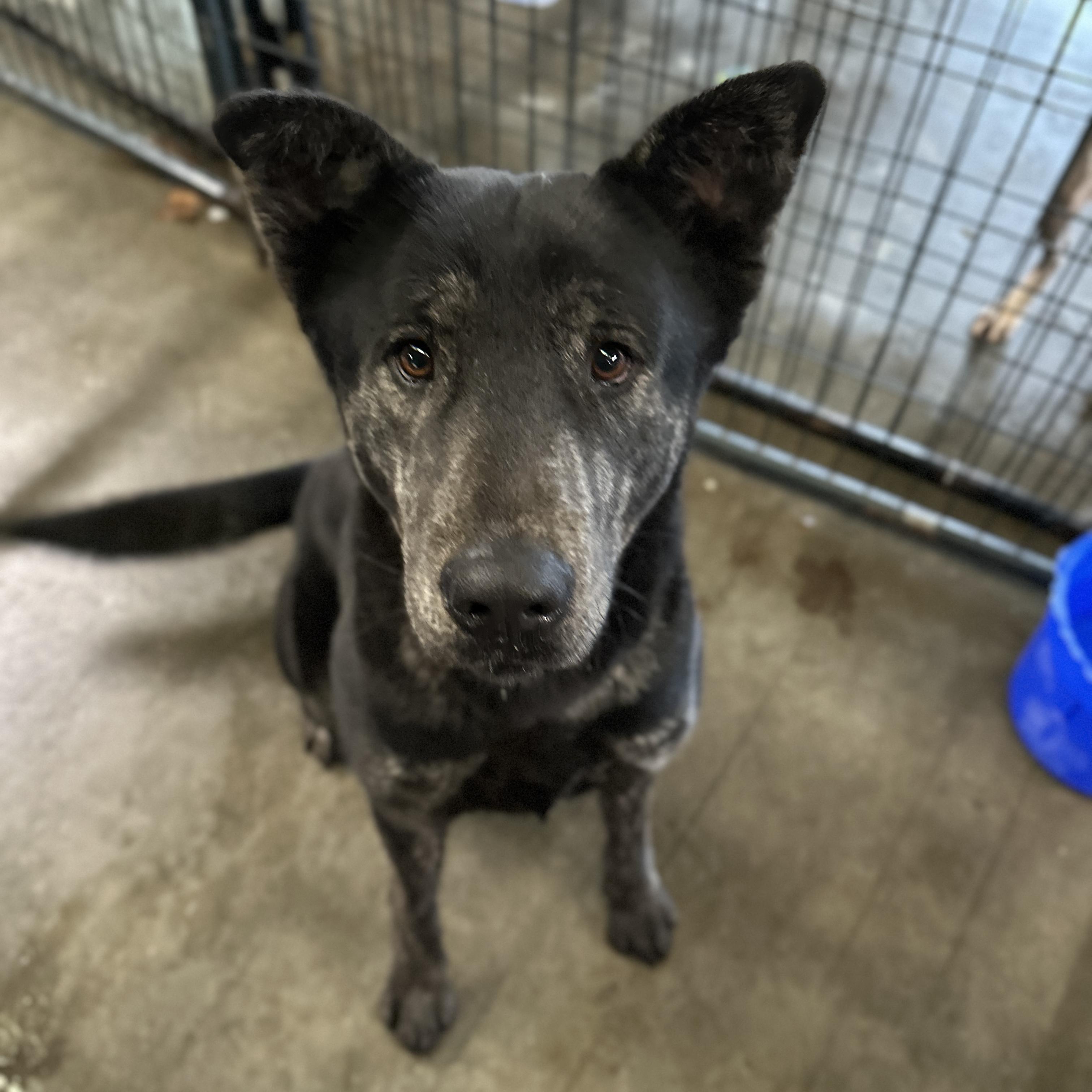 Jeremy Allen White — thumbnail 4