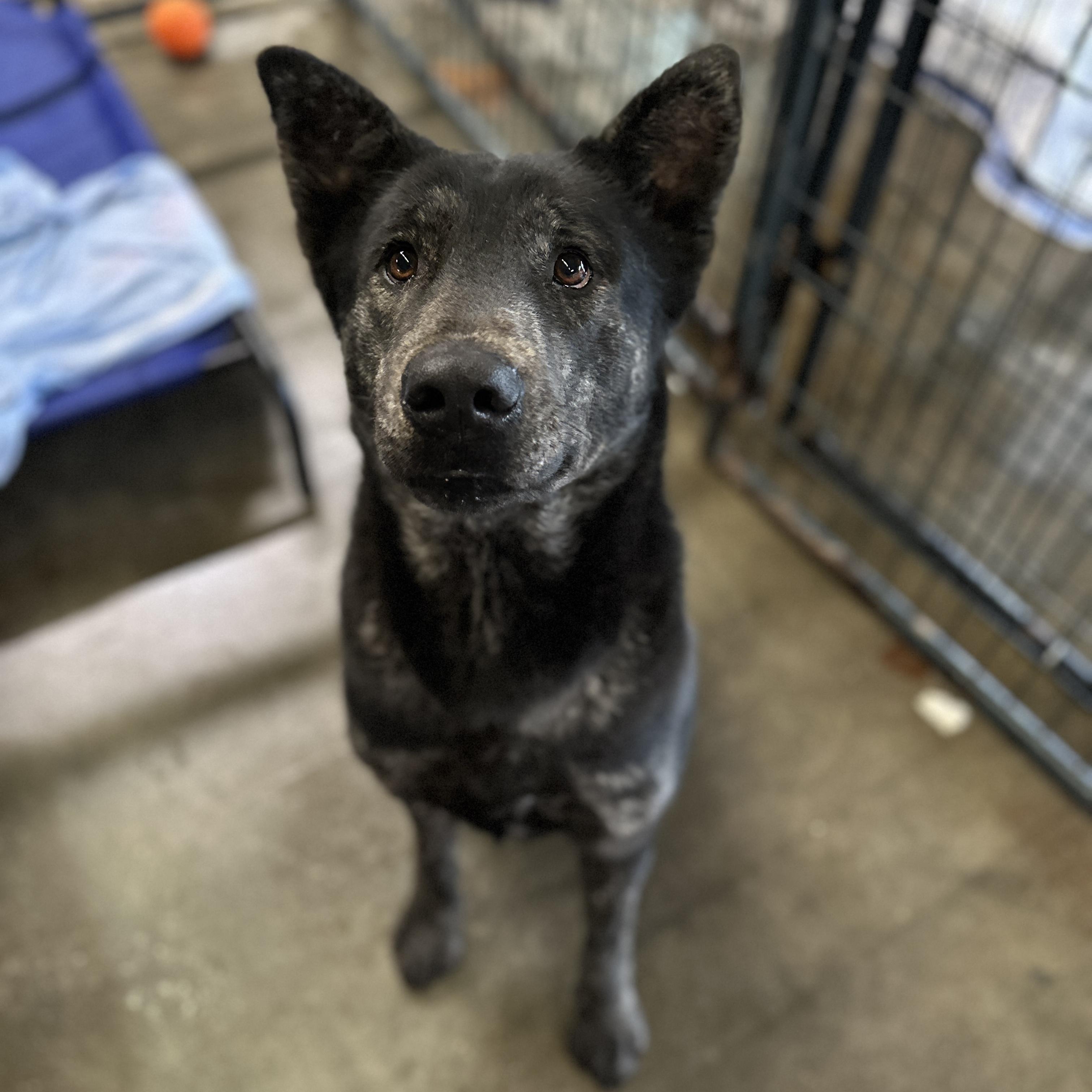 Jeremy Allen White — thumbnail 6